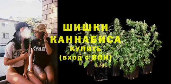 соль ск Краснослободск
