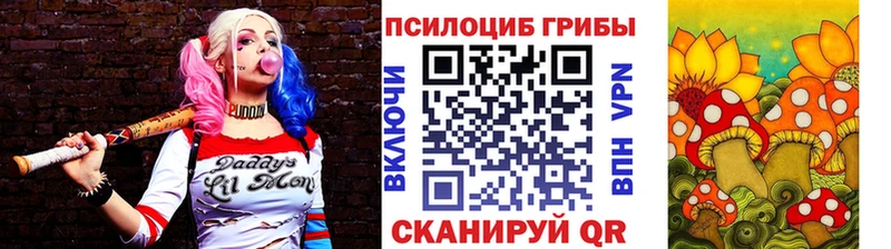 Псилоцибиновые грибы Psilocybine cubensis  hydra онион  Славянск-на-Кубани  купить  