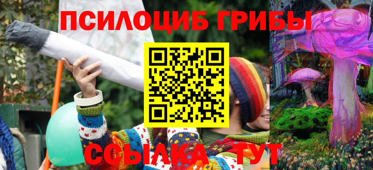 Псилоцибиновые грибы GOLDEN TEACHER  Вход с VPN  Псилоцибиновые грибы мухоморы  Славянск-на-Кубани 