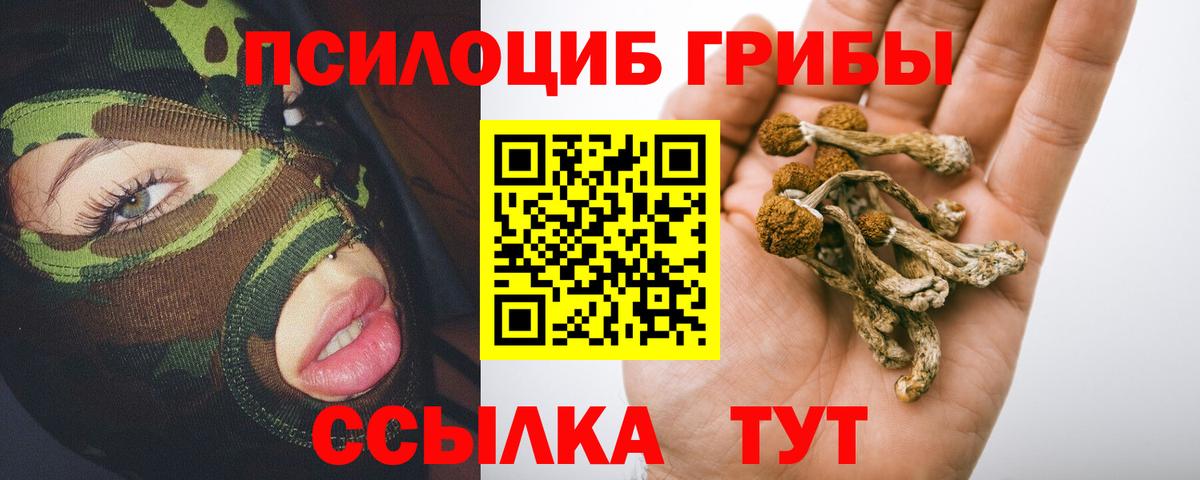 Псилоцибиновые грибы MAGIC MUSHROOMS Славянск-на-Кубани
